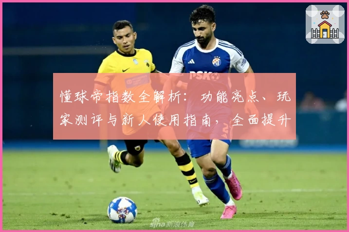 懂球帝指数全解析：功能亮点、玩家测评与新人使用指南，全面提升足球体验